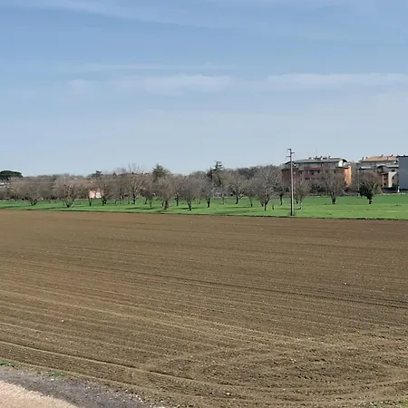 Ozz Angel Апартаменты