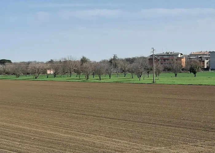 Ozz Angel アパート